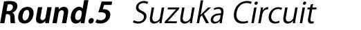 Round5 鈴鹿サーキット